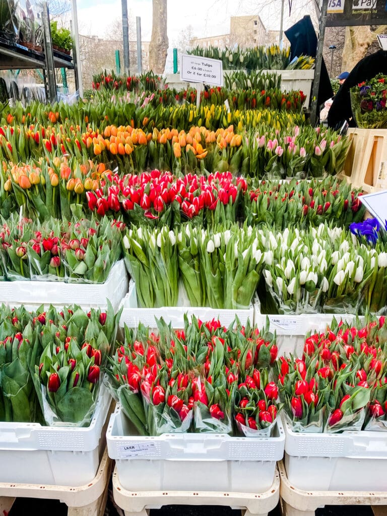 Tulips at an outdoor flower market.