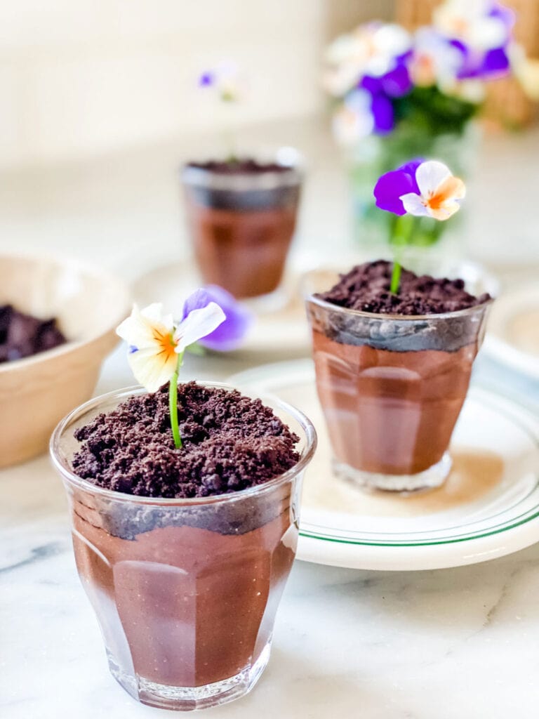 Chocolate Budino in little cups with a cookie topping for "dirt" and an edible flower.