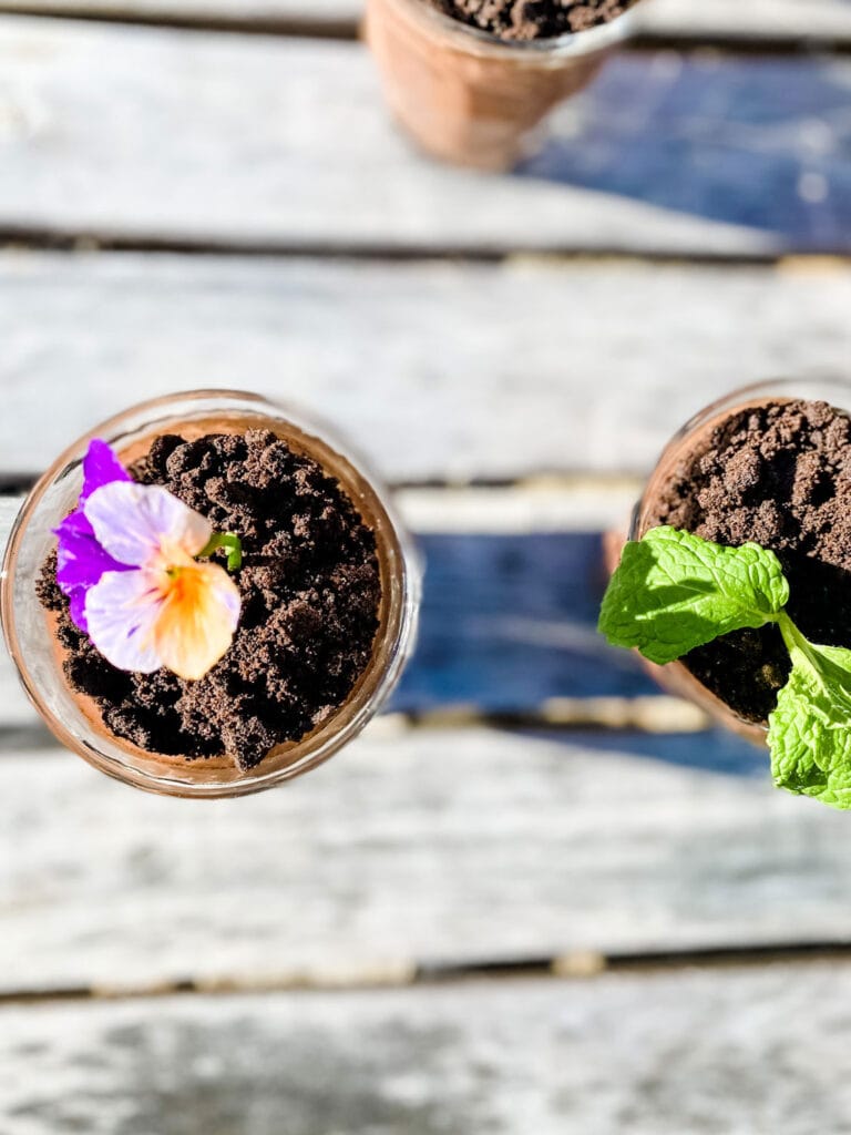 Chocolate Budino in little cups with a cookie topping for "dirt" and an edible flower and mint.