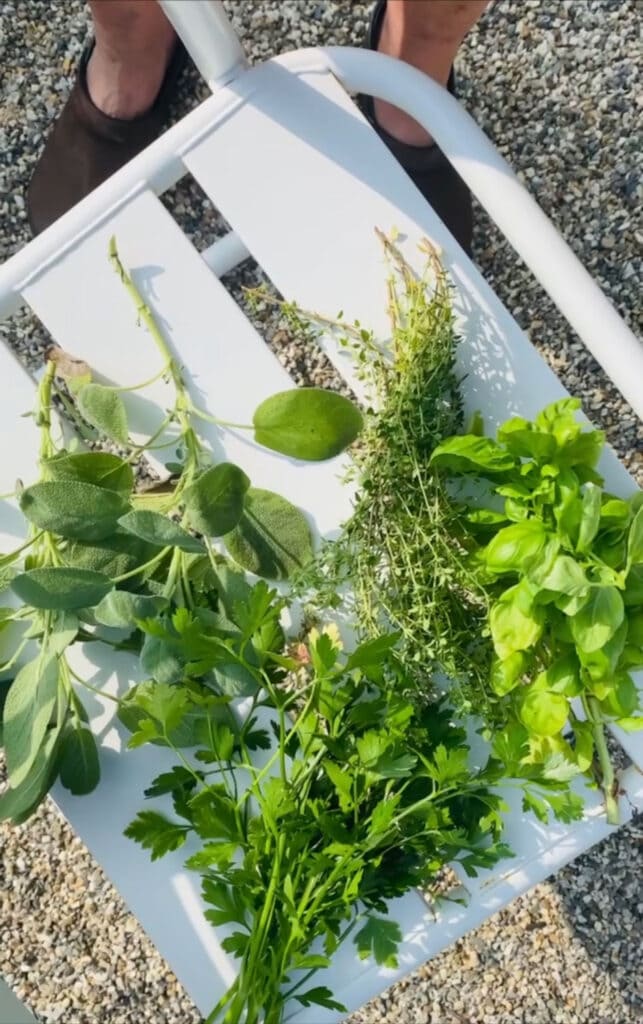 Herbs bouquets in the Stock Tank Garden.