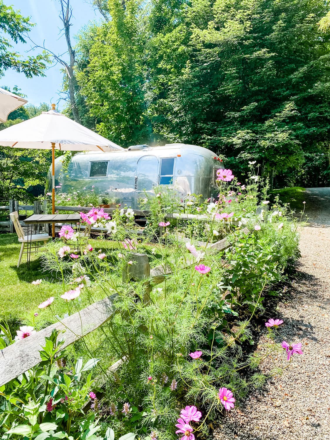 The Airstream at the Lost Kitchen with Cosmos growing wild