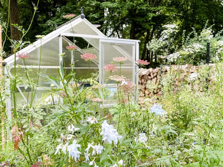 A small greenhouse sits in the middle of a small garden.