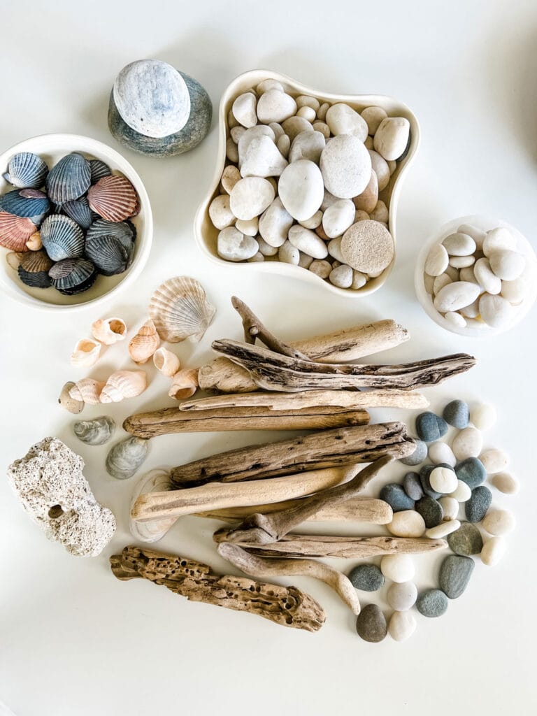 driftwood, shells, stones, rocks in bowls on white table top