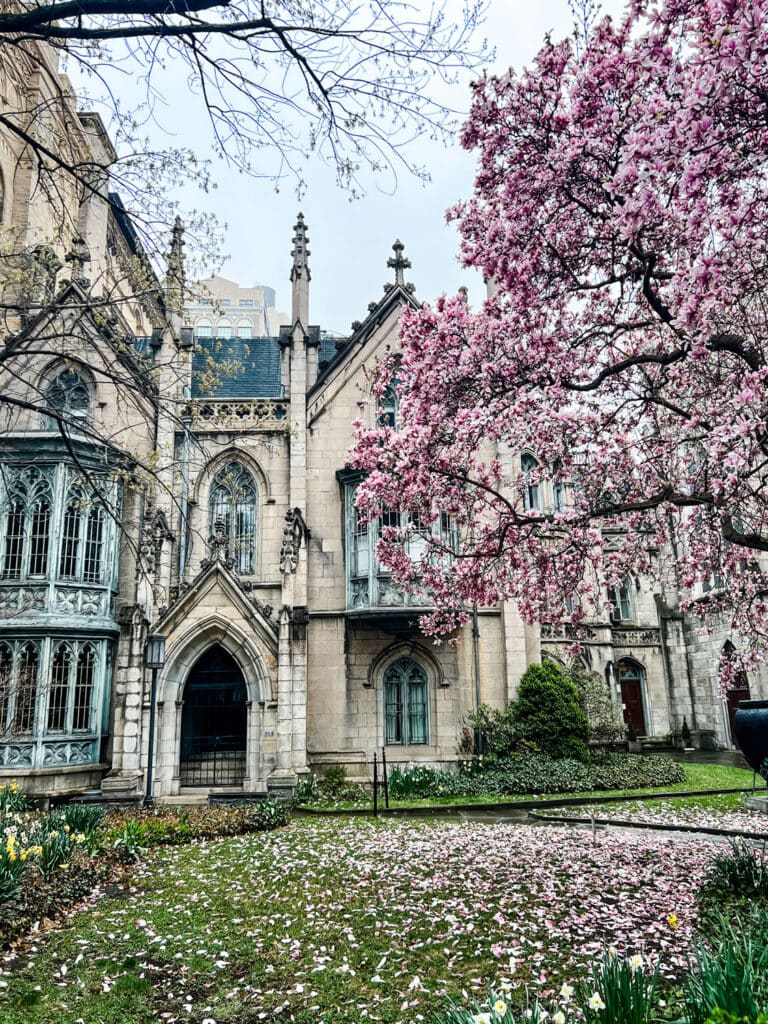 Grace Church is one stop for Tips for seeing the cherry blossoms in New York City.