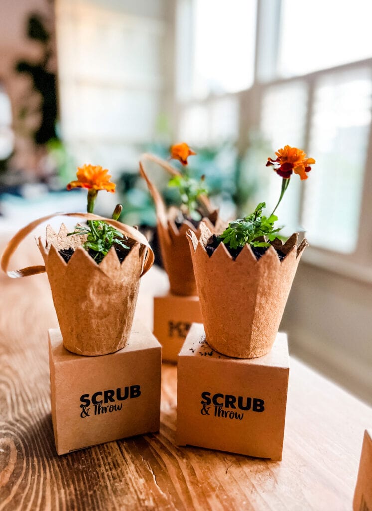 Make May Day Baskets Using Seed Pots and boxes of Scrub & Throw sponges