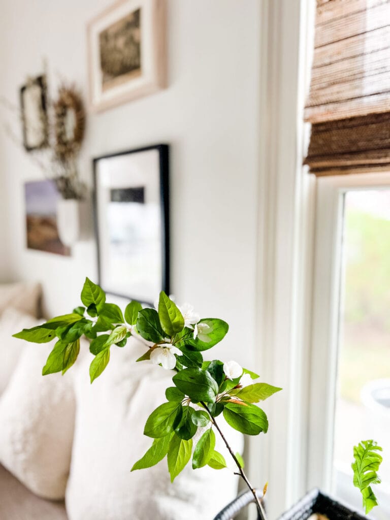 Small branch clippings are in a small glass jar and sitting on a bar cart in front of a window.