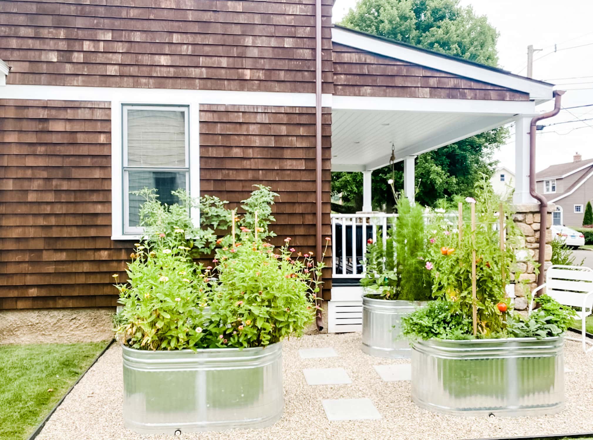 150 gallon stock tank plus plants and decor