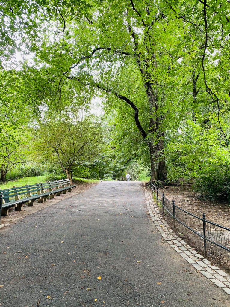 Central Park in Spring/Summer and