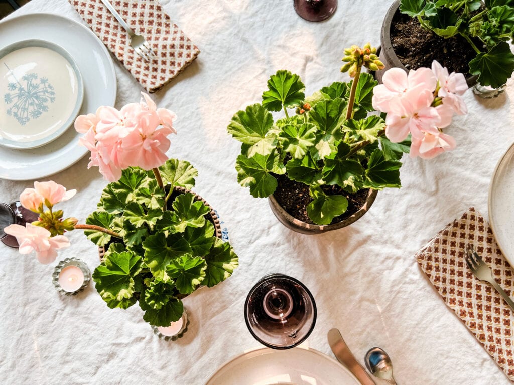 geraniums in Bergs pottery for the cottage look