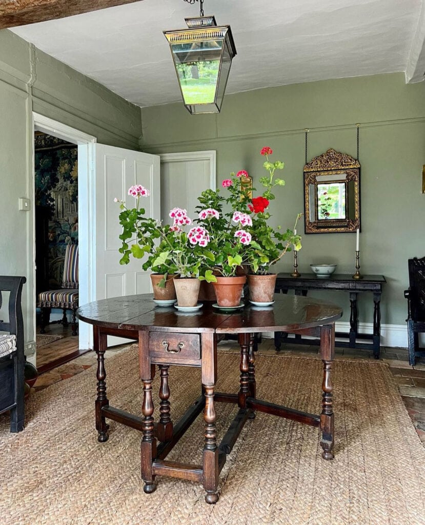 Geraniums in clay pots on saucer for the cottage look