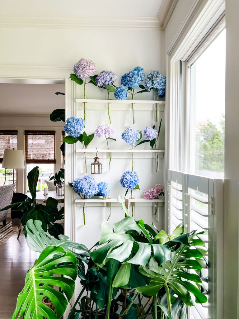 Summer Flower Wall with Hydrangeas and Monstera plant