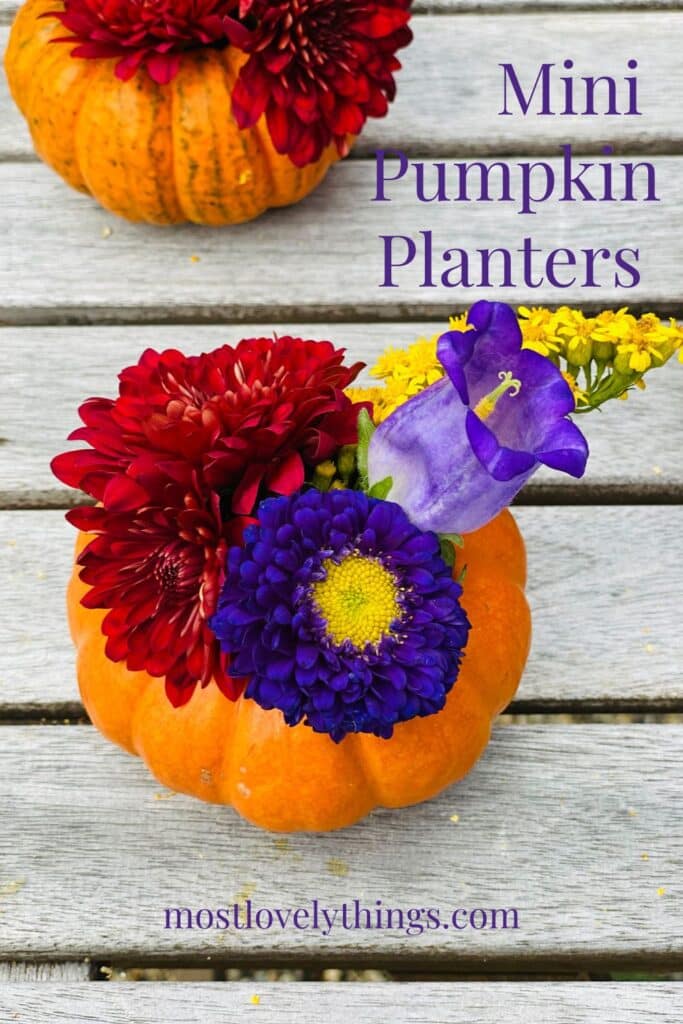 mini pumpkins with flowers inside like a pot, with text in purple 