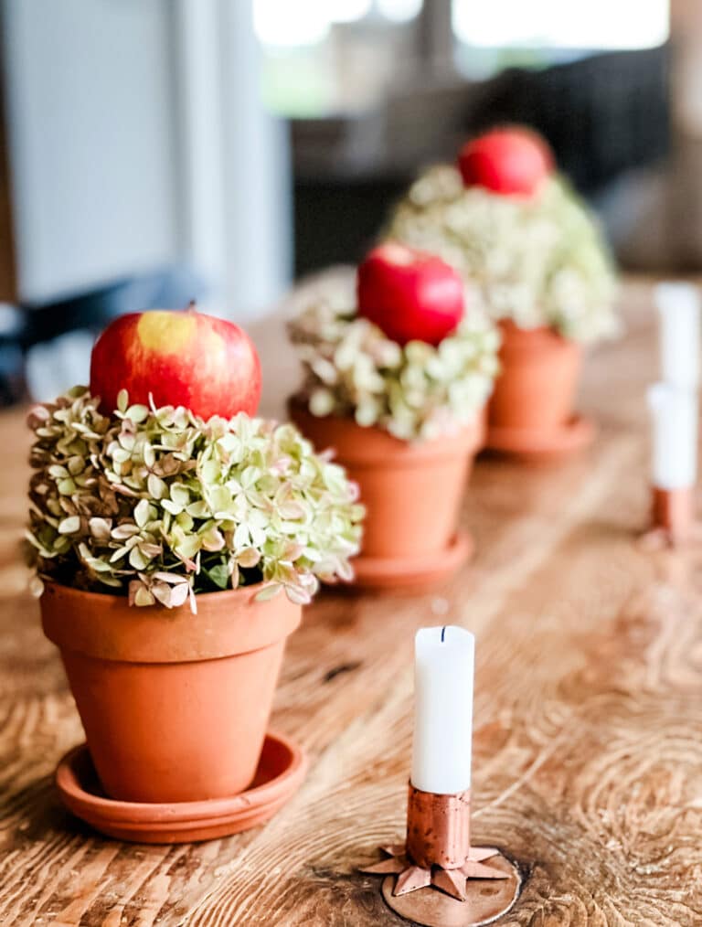 A Round-Up of All My Favorite Apple Recipes & Decor for Fall