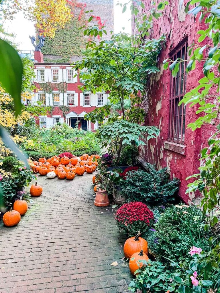 Grove Street pumpkins in the courtyard.