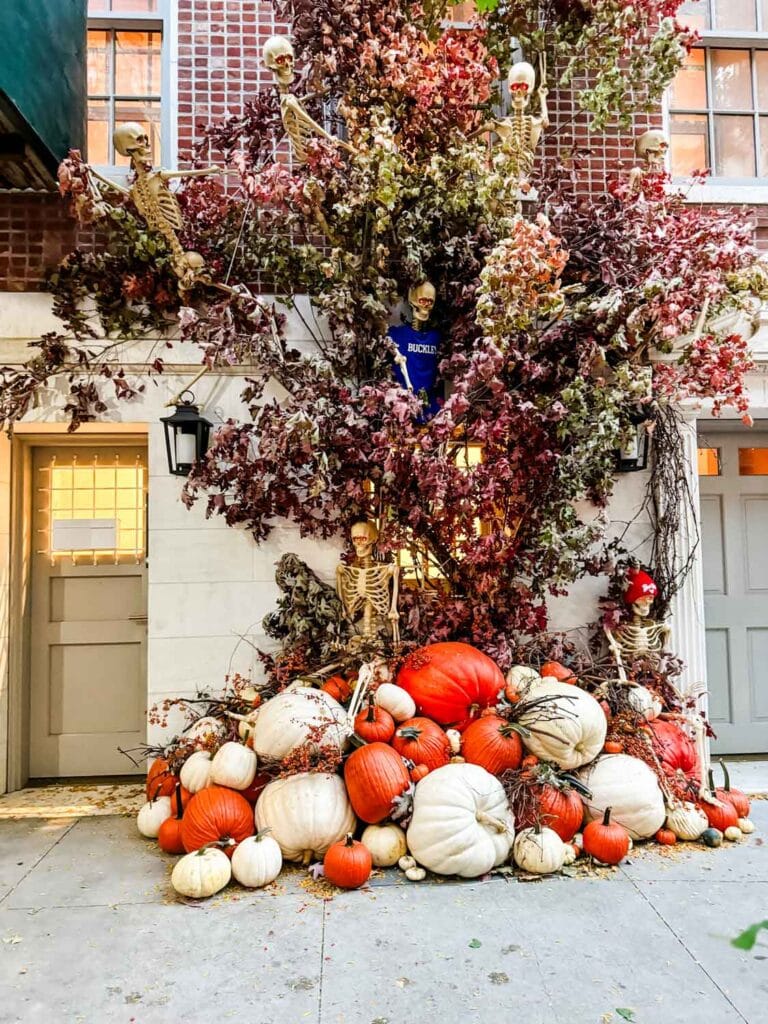 A display of white and orange pumpkins in NYC on the upper east side.
