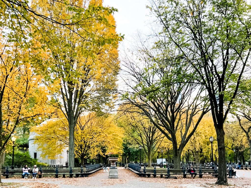 The Literary Walk and the Mall with leaves turning color in Autumn