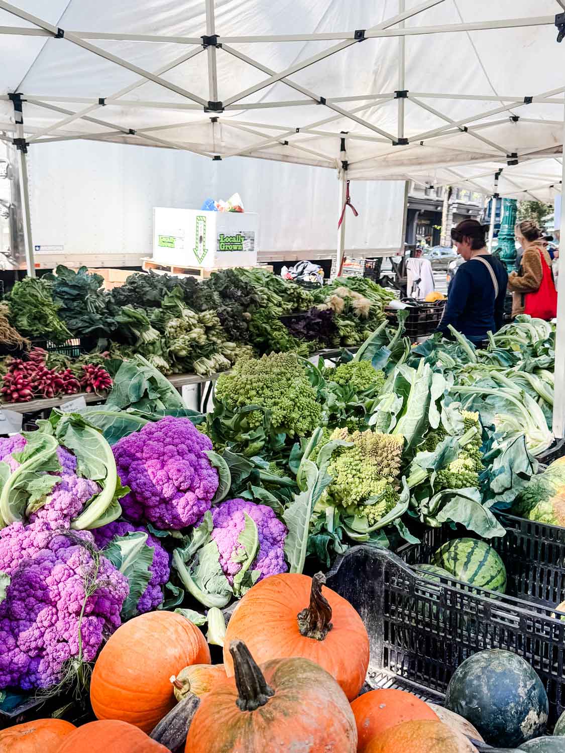 Pumpkins and purple cauliflower at Union Sqaure Green market.