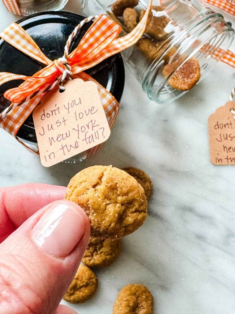 Woman holding a mini snickerdoodle cookie next to a jar toed up with orange and white gingham ribbon.