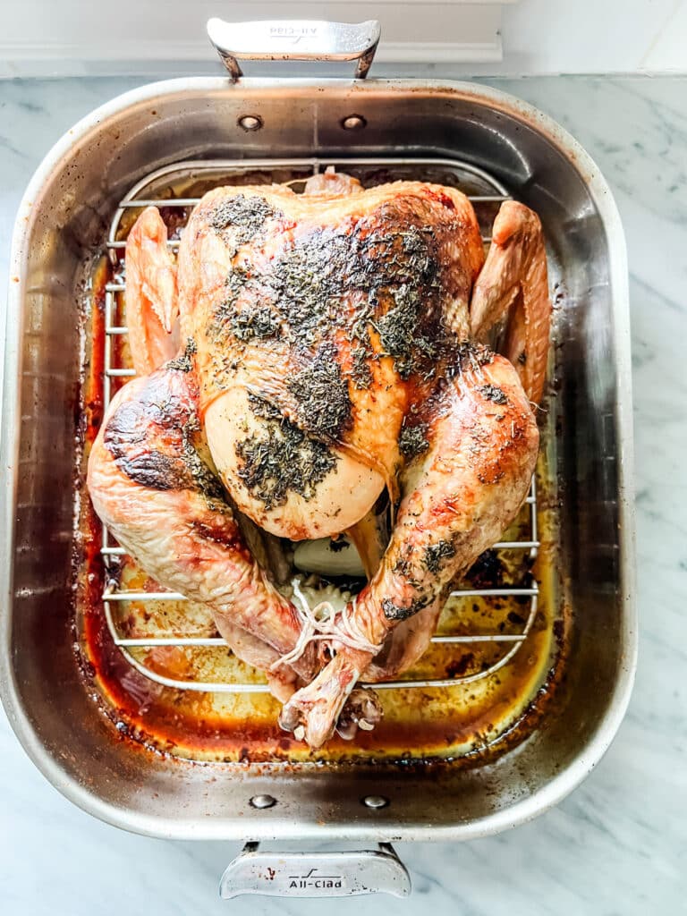 roast turkey in All-Clad roasting pan with rack