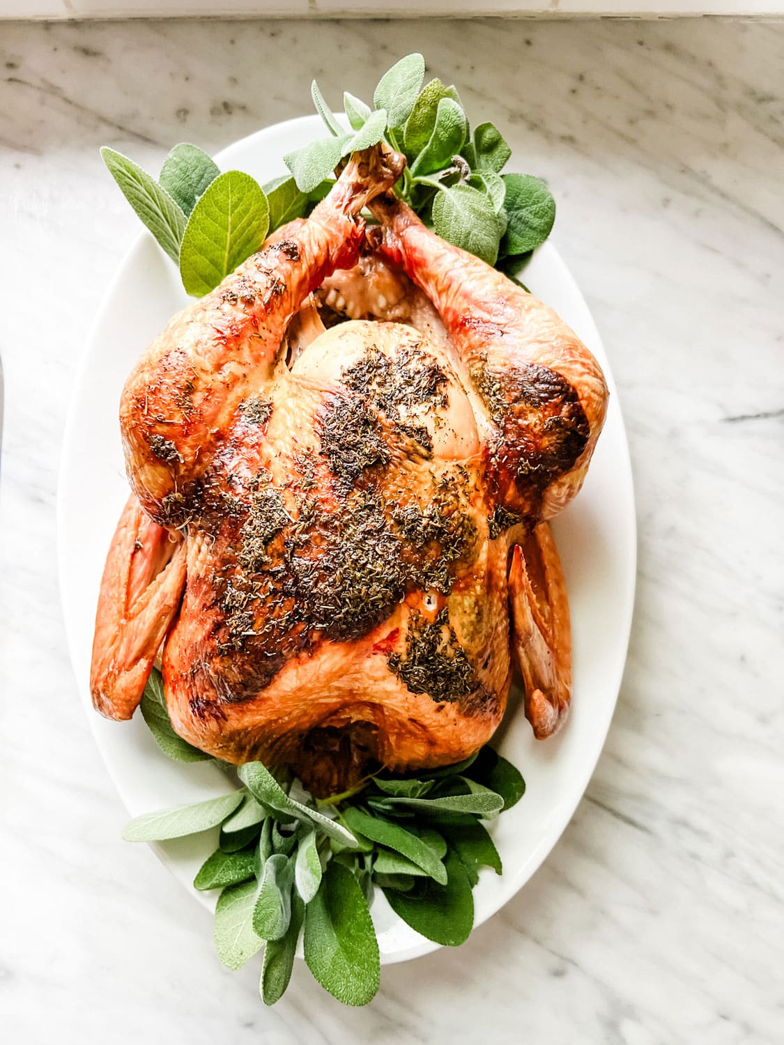The 10 Best Basters To Avoid A Dry Thanksgiving Turkey