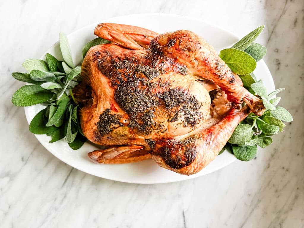 Roast turkey on white platter with fresh sage