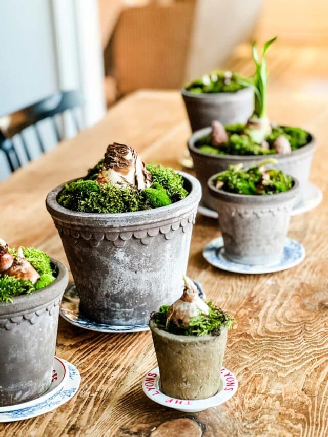 How to Set a Rustic Holiday Tablescape | Most Lovely Things