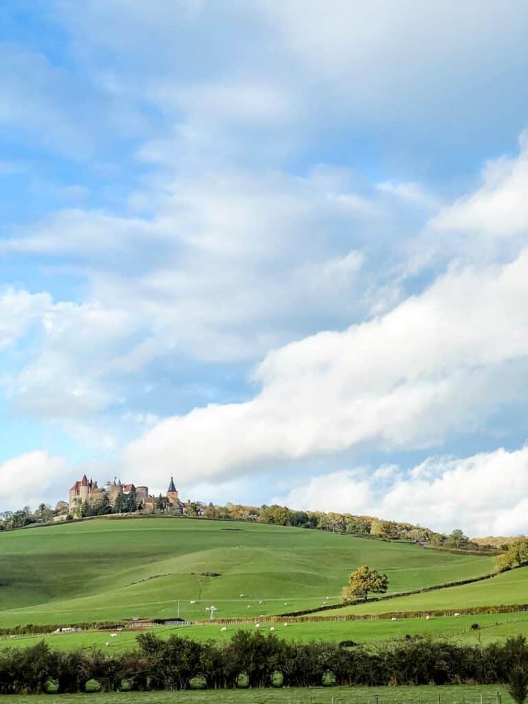 Chateau Neue sits atop the hill along the way to Beaune, France. You can see white cows grazing in the green rolling pastures leading up to the chateau.