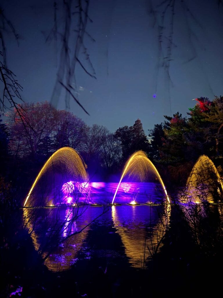 Fountains, lit up in the water of a pond, at the Brooklyn Botanic Garden.