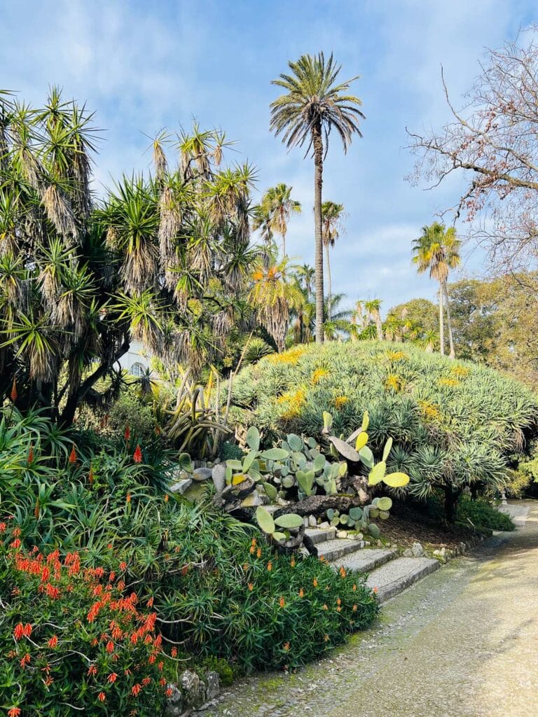 A beautiful area of lush, tropical plantings at the Lisbon botanical garden.