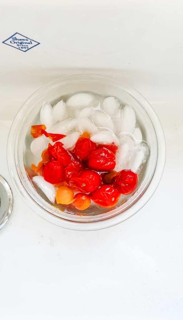 Blanched tomatoes are soaking in an ice bath.