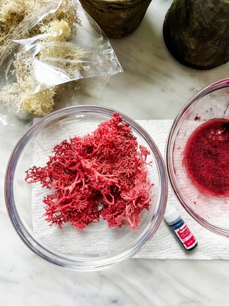 reindeer moss white, pink, small bottle of food coloring, two bowls