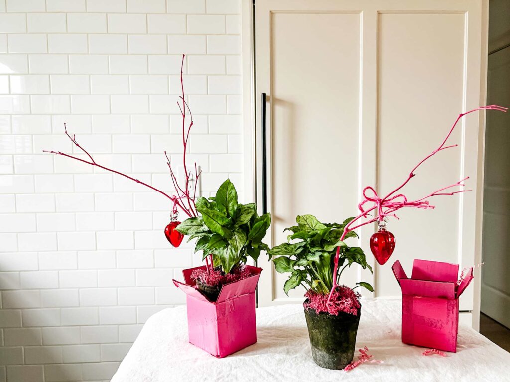 plants, pink boxes, red heart ornaments hanging from pink twigs