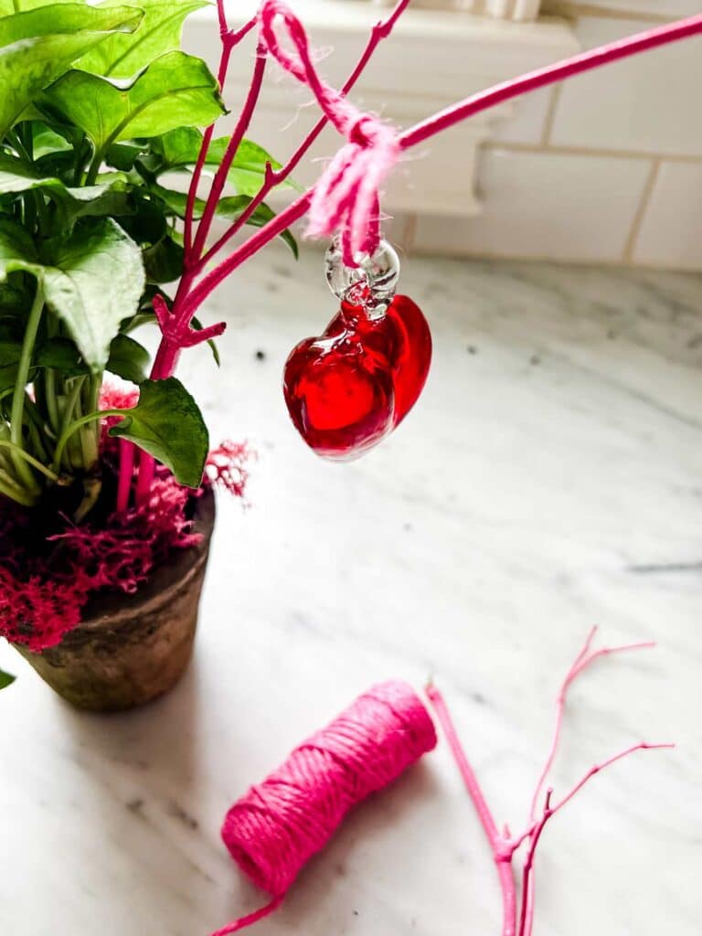 Give a Plant for Valentine's Day - Red glass heart ornament with pink twine 