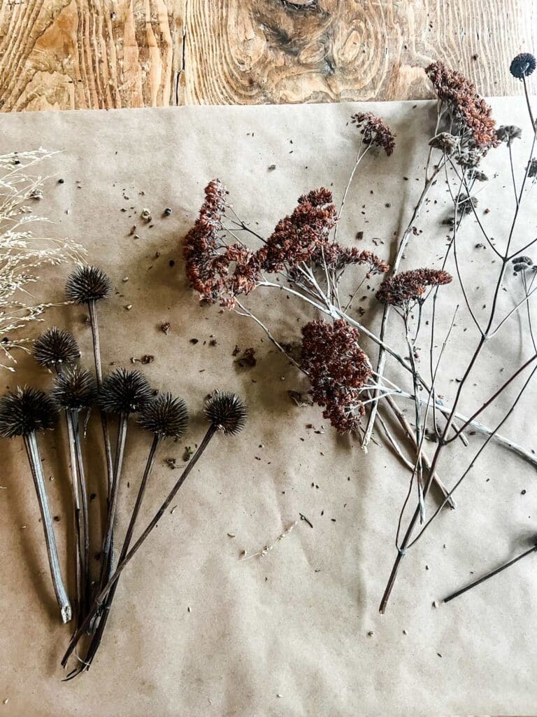 Foraged seed pods, grasses, flowers from winter
