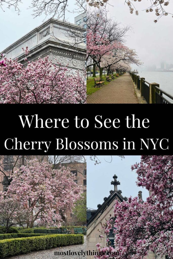 There are so many fun places to see the cherry blossoms in NYC these are just a few that made our list of favorites.