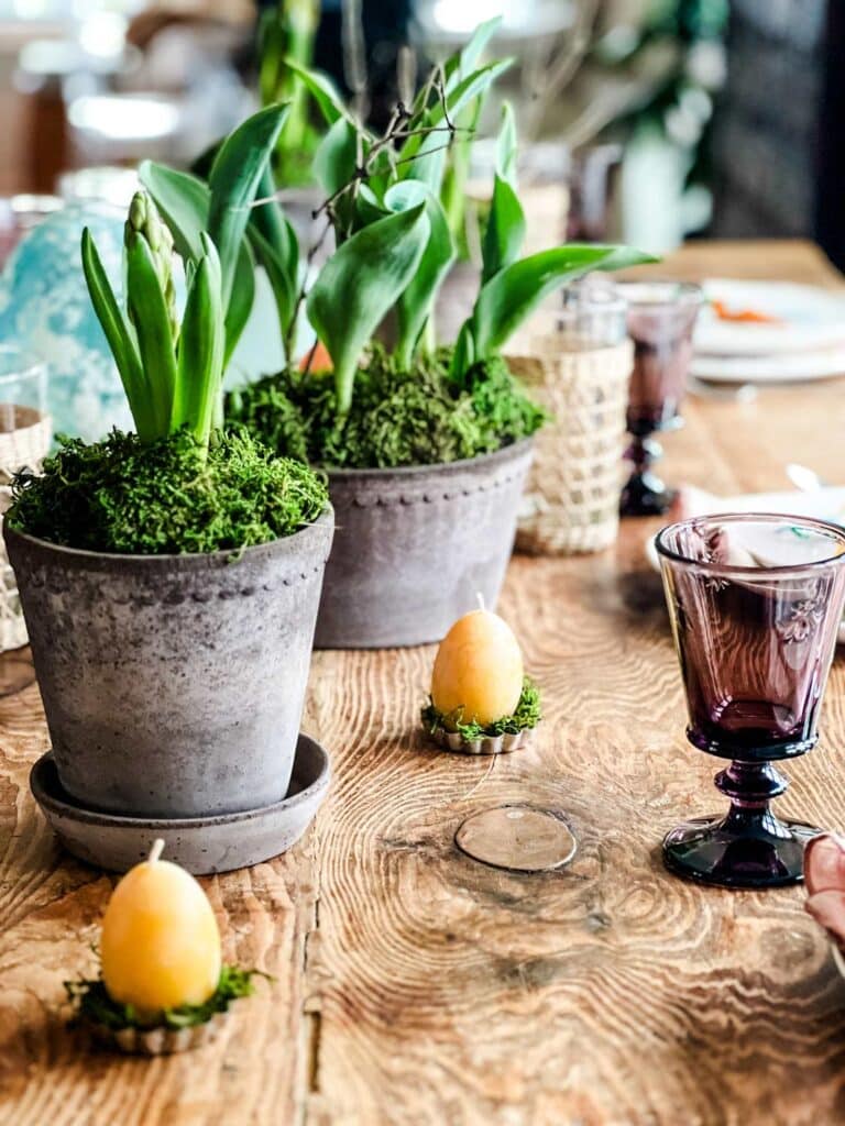 Bergs potted plants, egg candles and a mix of glassware on a wood farm table 