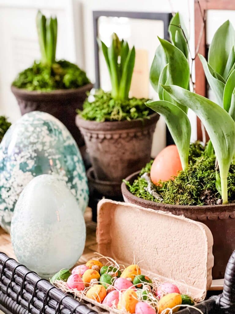 Bulbs in pots and a carton of easter egg chocolates are simple ideas on how to refresh your home for spring.
