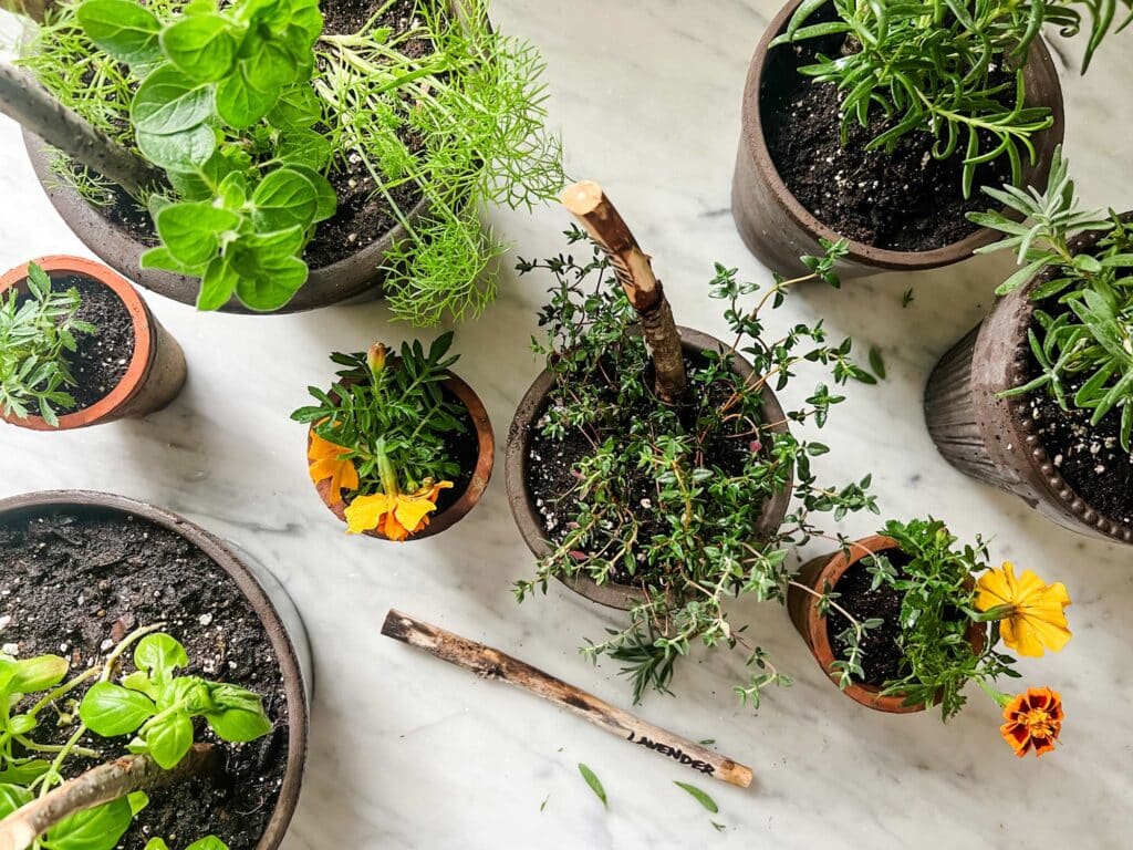 Make these easy rustic DIY herb garden plant markers and stakes just from sticks around your yard.