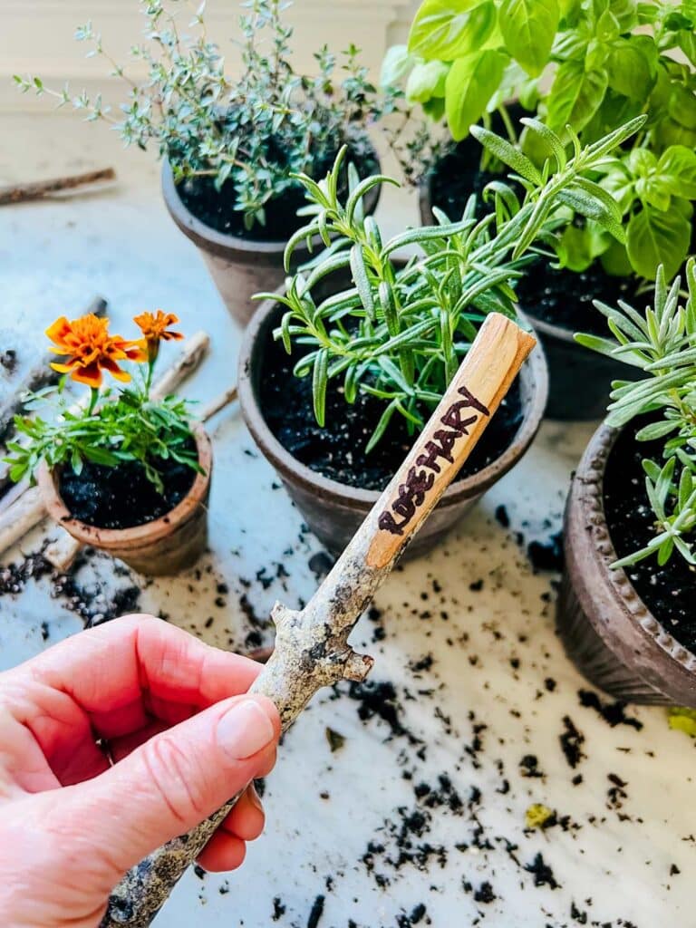 A stick from the yard has a flat surface, created with knife, and has rosemary written on it and ready to be used as an herb garden plant marker.