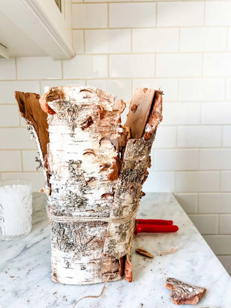 How to Make a Rustic Birch Bark Vase