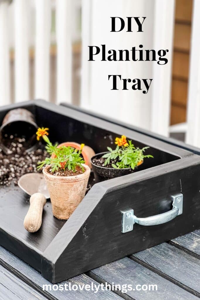A black DIY wood potting tray is being used to plant flowers in small pots.