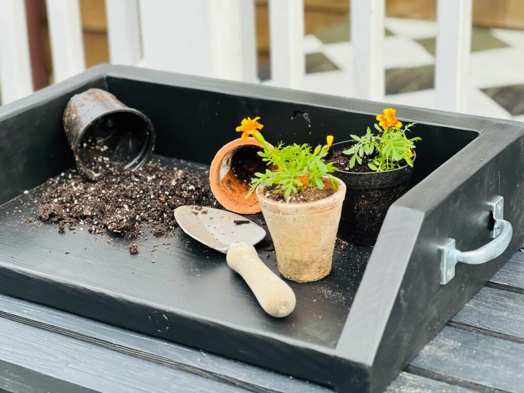 A black wood potting try with freshly planted flow, extra soil in the tray and a garden shovel.