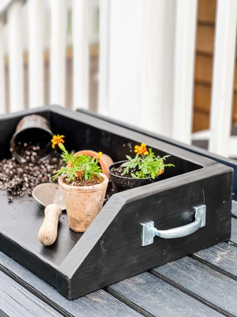 A DIY wood potting tray is being used to pot small flowers in small plants.