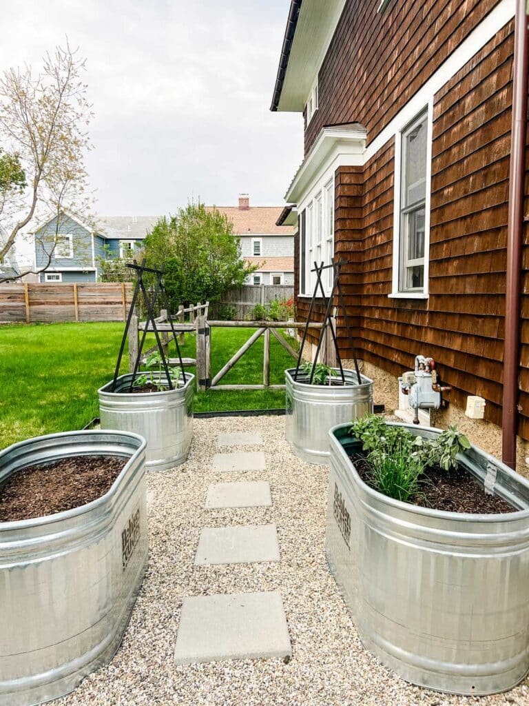 Four raised bed stock tanks sit on a gravel base with cement pavers down the middle.