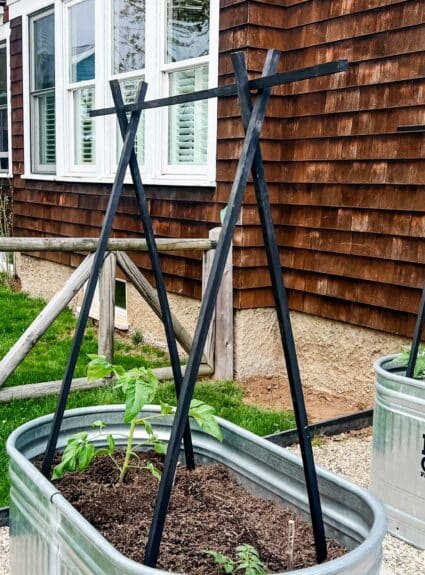 Make Easy, Sturdy, & Inexpensive DIY Tomato Cages