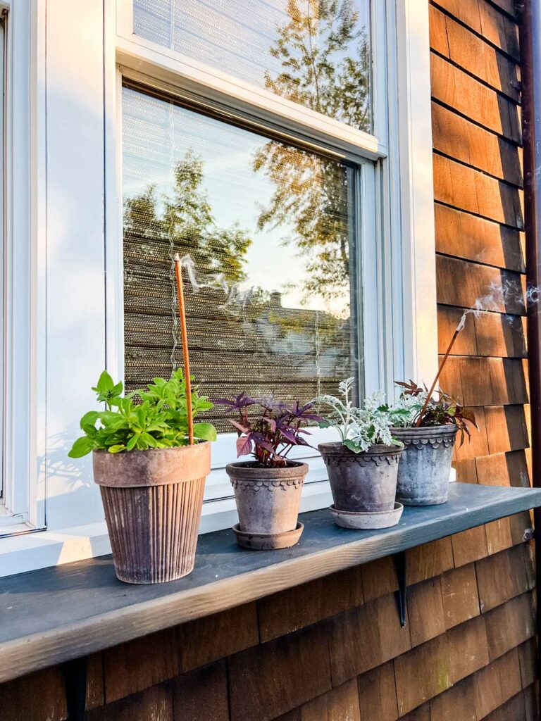 Plants in pots line a window shelf along the outside of a house.