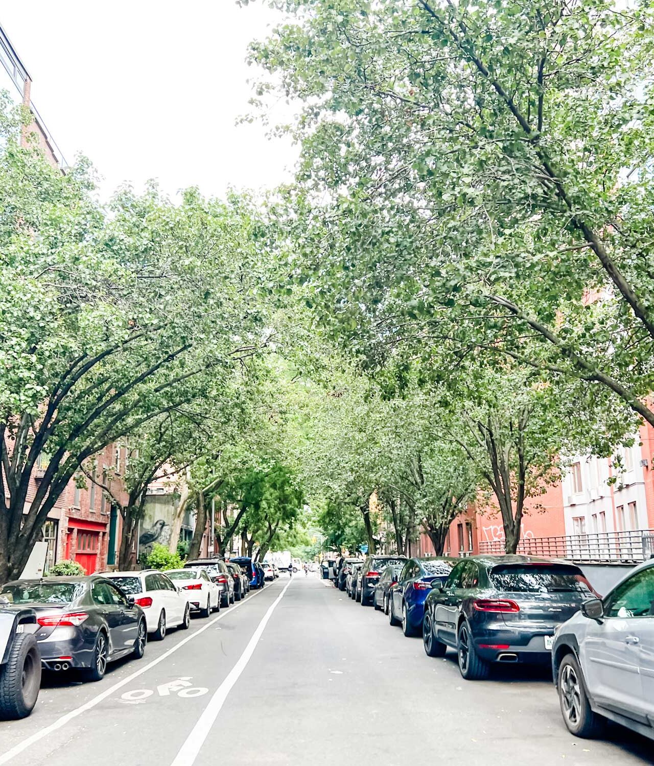 A tree-lined street with brownstones in the East Village of New York City.