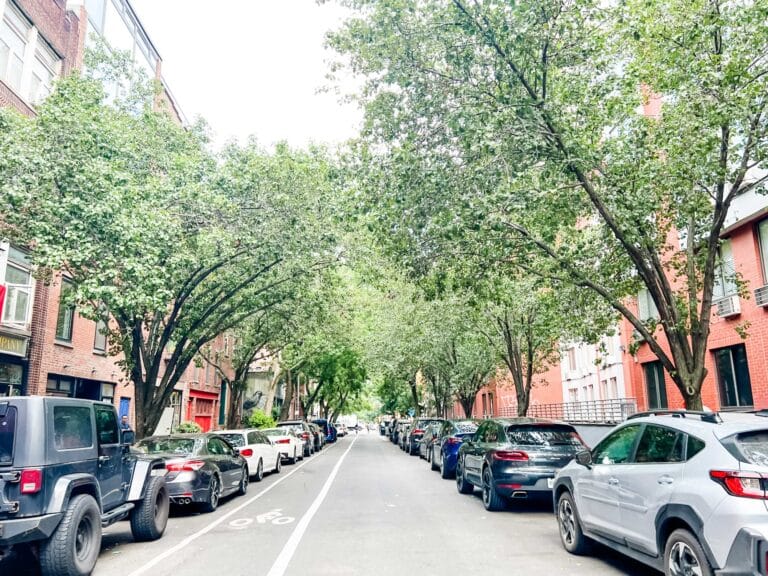 A tree-lined street with brownstones in the East Village of New York City.