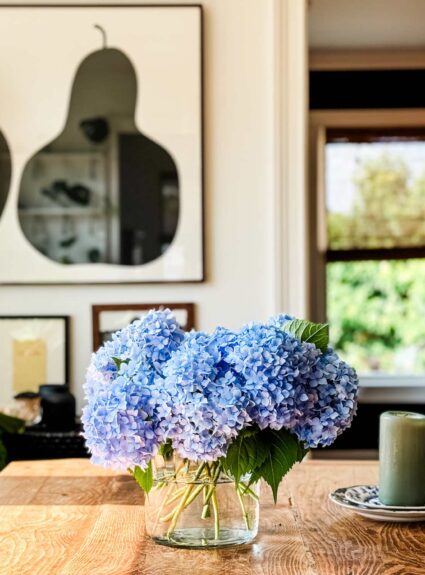 Tips on How to Care for Care for Cut Hydrangeas