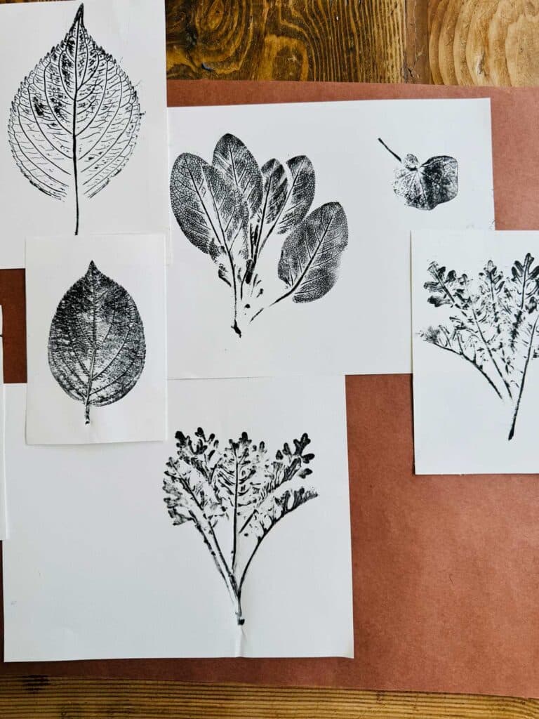 Examples of monoprinting with nature on are white paper and laid out on table with brown kraft paper.